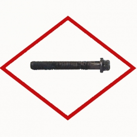 Hexalobular head bolt MAN 51904900023 original M15x2x144-1200N/M, for various engines