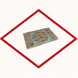 Gasket 51019030247 original for MAN E2842 — E2848.