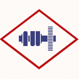 Camshaft MWM 12452147 original for various engines