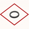 Sealing Gland 12307718 original for MWM TCG 2020 TCD 2020 V12