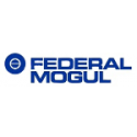 Federal Mogul